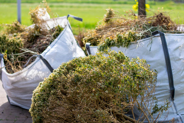  Tennille, GA Junk Removal Services Pros